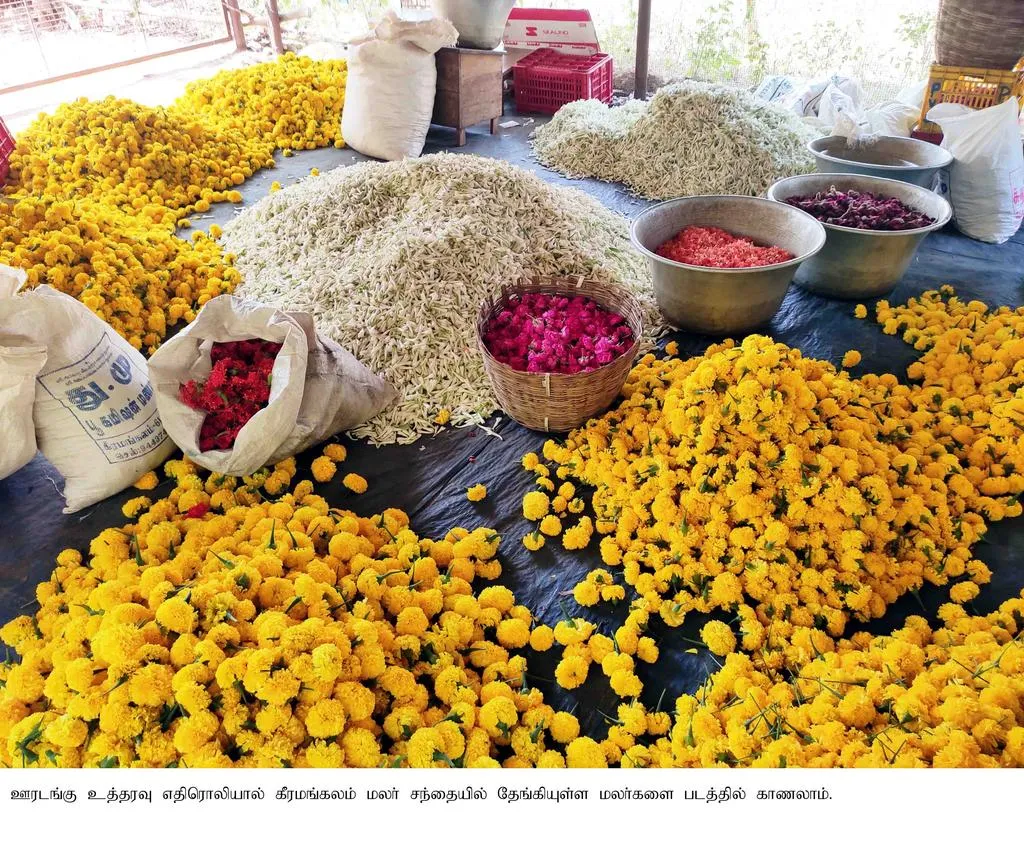  Full Curfew ... Pudukkottai Flower Shop